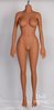 YL Doll YL-155/D body style - TPE