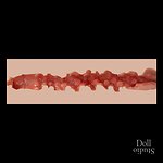 Zelex - Vaginal Texture (as of 06/2024)