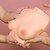 Climax Doll Si-B61 Breasts - silicone