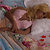 Oriental Rose OR156 body and OR Doll Sasha head in skin tone OR Pink