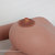 OR Doll OR-156/G with ›Linda‹ head - PQC Quality Check /2nd replacement. Image c