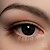 Zelex - Eye colors (as of 06/2024)