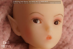 Unboxing Doll House 168 DH20-80/E & DH20-80/G with ›Shiori‹ and ›Nao‹ heads - Do