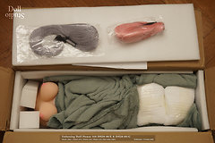 Unboxing Doll House 168 DH20-80/E & DH20-80/G with ›Shiori‹ and ›Nao‹ heads - Do