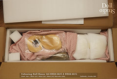 Unboxing Doll House 168 DH20-80/E & DH20-80/G with ›Shiori‹ and ›Nao‹ heads - Do