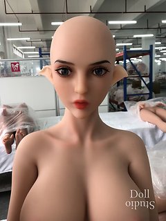 WM Dolls WM-164/D body style with no. 458 & no. 432 heads - factory photo (04/20