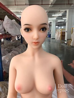 WM Dolls WM-156/A body style with no. 154 and no. 443 heads - factory photo (12/