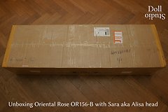 Unboxing Oriental Rose OR156-B mit ›Sara‹ aka ›Alisa‹-Kopf