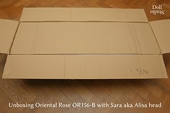 Unboxing Oriental Rose OR156-B mit ›Sara‹ aka ›Alisa‹-Kopf