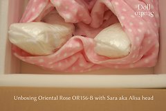 Unboxing Oriental Rose OR156-B mit ›Sara‹ aka ›Alisa‹-Kopf