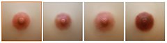 Hitdoll/Ildoll nipple colors (as of 07/2019)