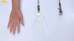 Articulated finger joints by Irontech Doll (as of 06/2021)
