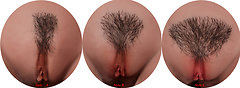 Irontech Doll - Pubic hair styles A, B and C (optional)