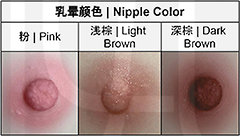 Tayu - Nipple Colors (as of 06/2021)