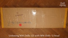 Unboxing WM Dolls 125 mit Kopf Nr. 12 - Dollstudio