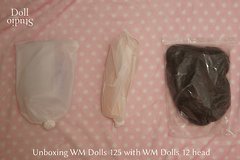 Unboxing WM Dolls 125 mit Kopf Nr. 12 - Dollstudio