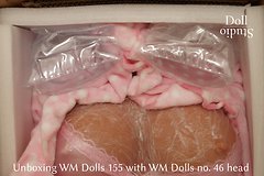 Unboxing WM Dolls 155 mit Kopf Nr. 46 - Dollstudio