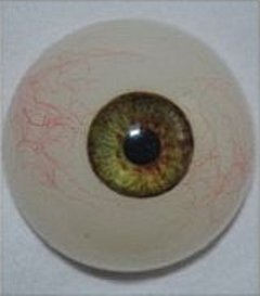 WM Doll green eyes (2014/2015)