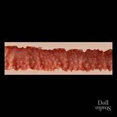 Zelex - Anal Texture (as of 06/2024)