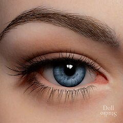 Zelex - Eye colors (as of 06/2024)