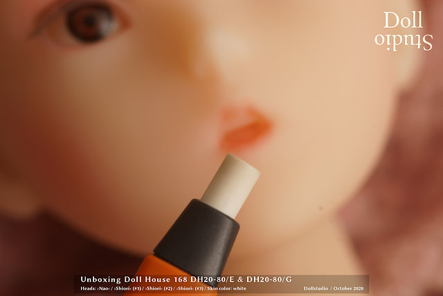 Unboxing Doll House 168 DH20-80/E & DH20-80/G with ›Shiori‹ and ›Nao‹ heads - Do