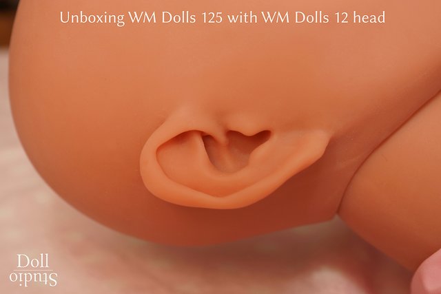 Unboxing WM Dolls 125 mit Kopf Nr. 12 - Dollstudio