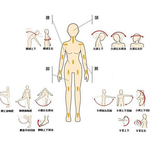 OR Doll OR-156 - Range of movements