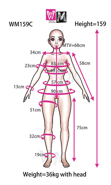 WM Dolls WM-159/B - Specification (as of 01/2022)