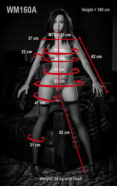 WM Dolls WM-160/A body style - specifications